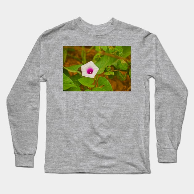 blla sweet potato Long Sleeve T-Shirt by pcfyi